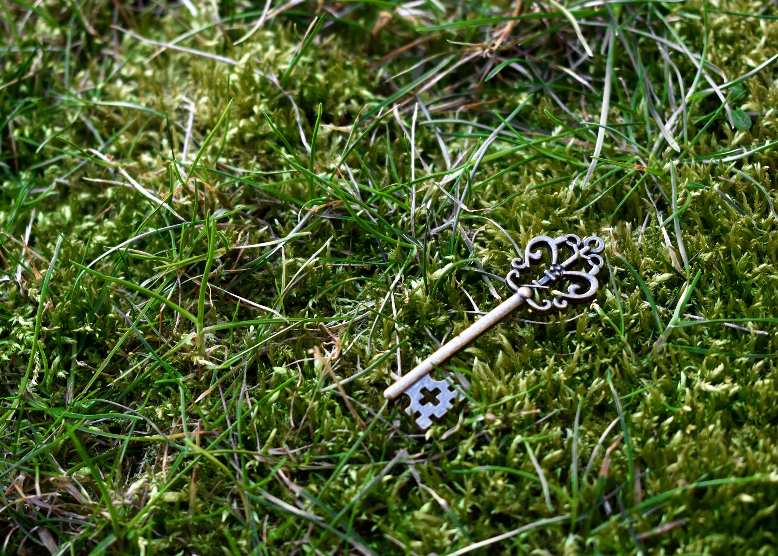 Key deserted in the grass.